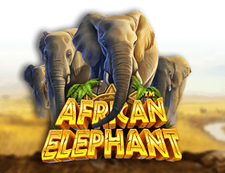 Slot Gacor African Elephant